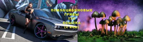 дурь Абаза